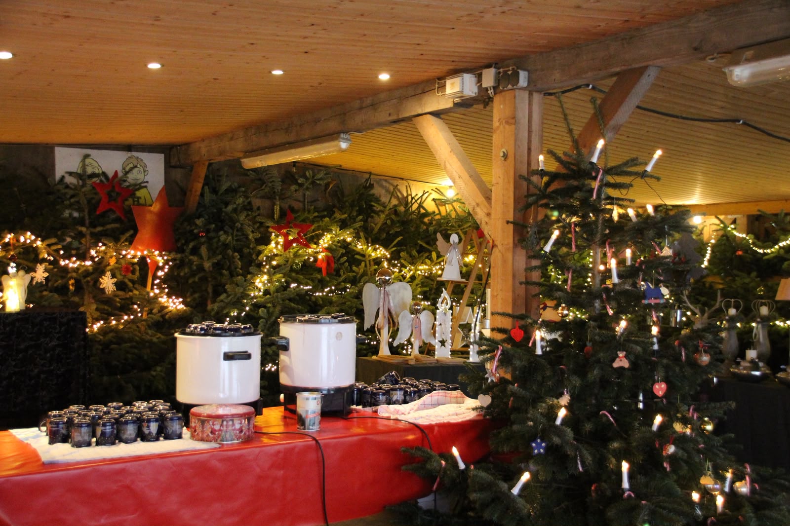 Weihnachtsbaumverkauf Hof Espel in Wallenhorst bei Osnabrück – Eindruck 4